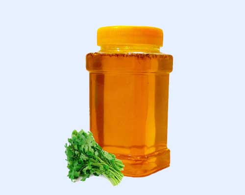 عسل گشنیز